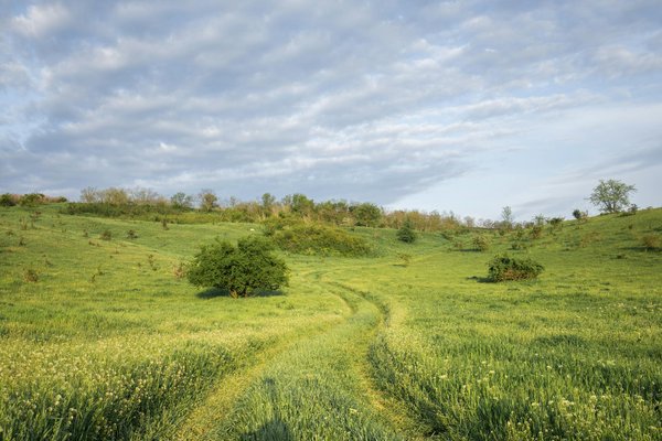 Explorez le Ch√¢teau de Versailles en Ligne : Guide Pratique des Visites Virtuelles