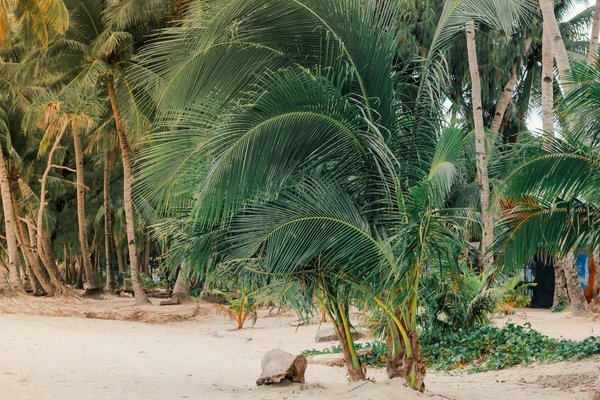 Hôtel alsace : immersion authentique et bien-être au cœur de la région